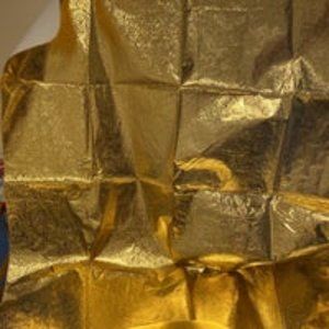 Gold Tablecloth with 2 Placemats